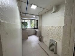 Tiong Bahru Orchid (D3), Shop House #558612861